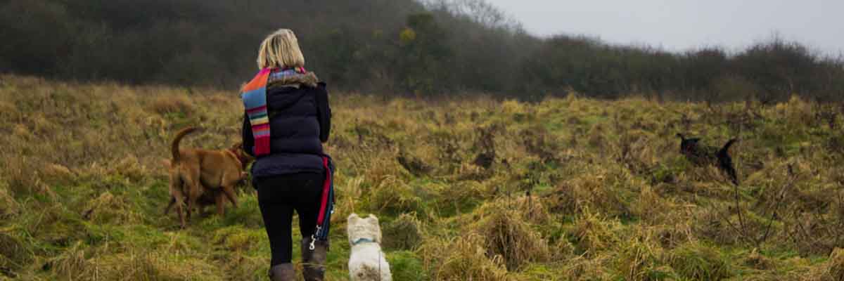 Miranda walking in cheltenham countryside.