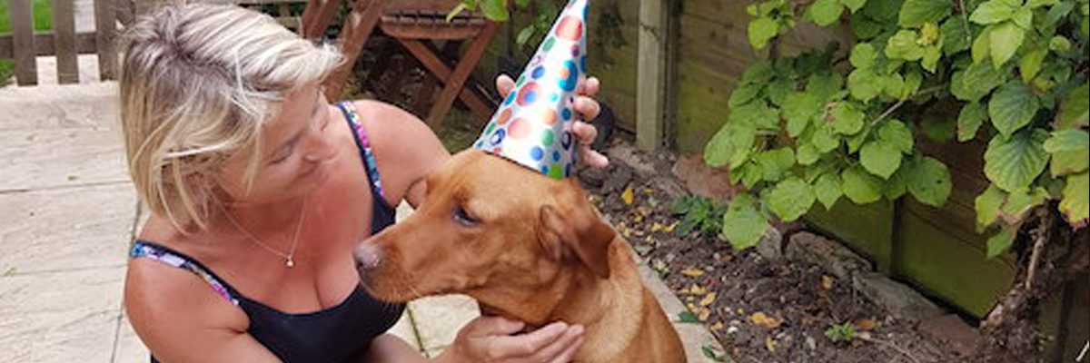 Miranda celebrating a dog's birthday.